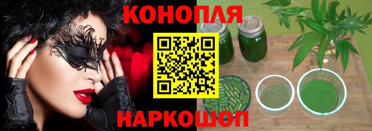 Конопля план Киселёвск